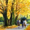 Horses Autumn walk painting, Autumn horses walk, girl walk