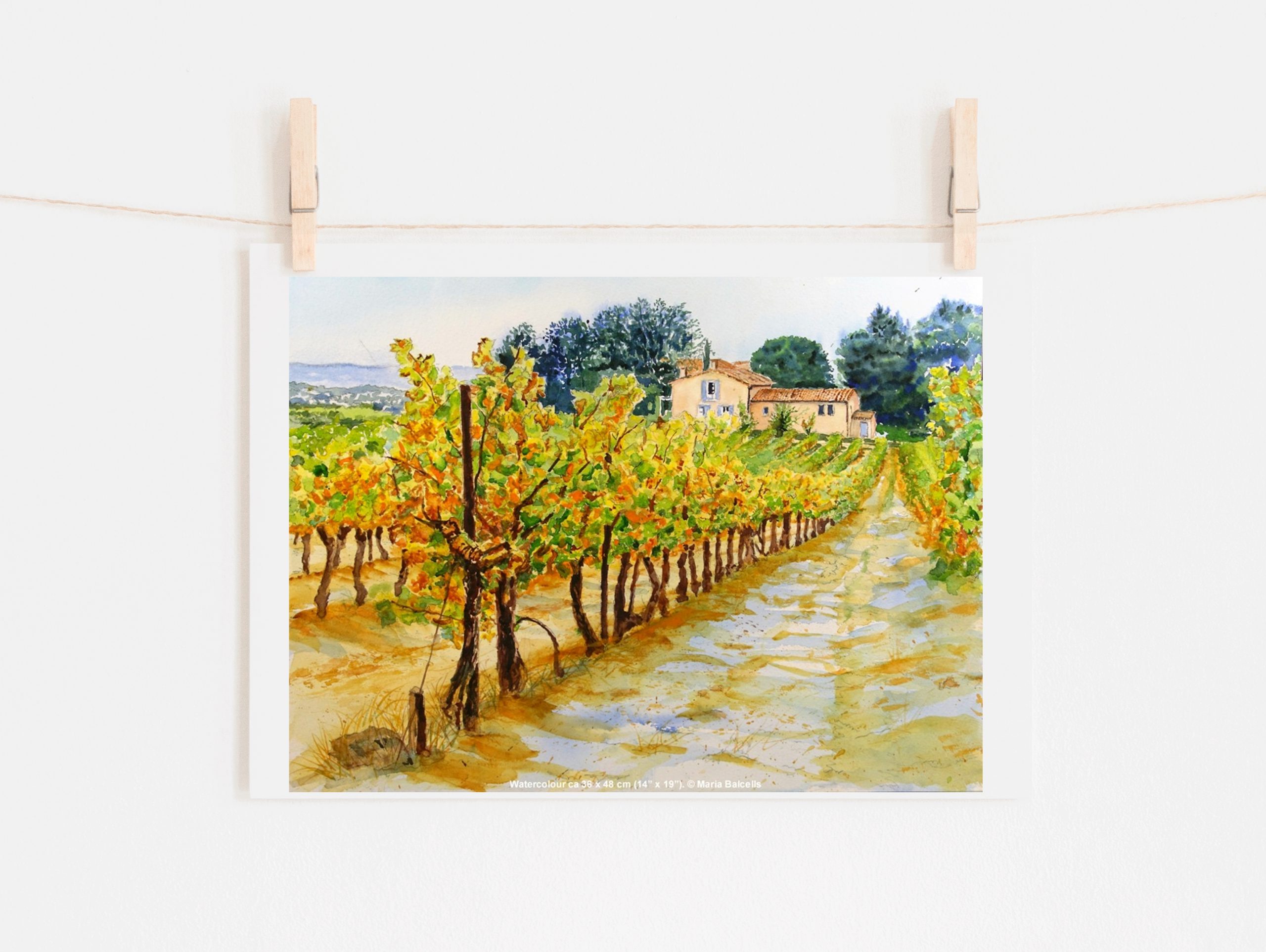 Watercolour autumn landscape painting with a beautiful vineyard in La Provence.. Watercolour painting