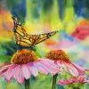 Monarch butterlfly, Ehinacea flowers, watercolour, summer, painting, for, sale, buy original, prints,