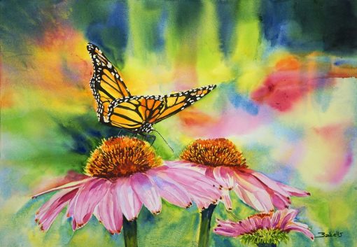 Monarch butterlfly, Ehinacea flowers, watercolour, summer, painting, for, sale, buy original, prints,