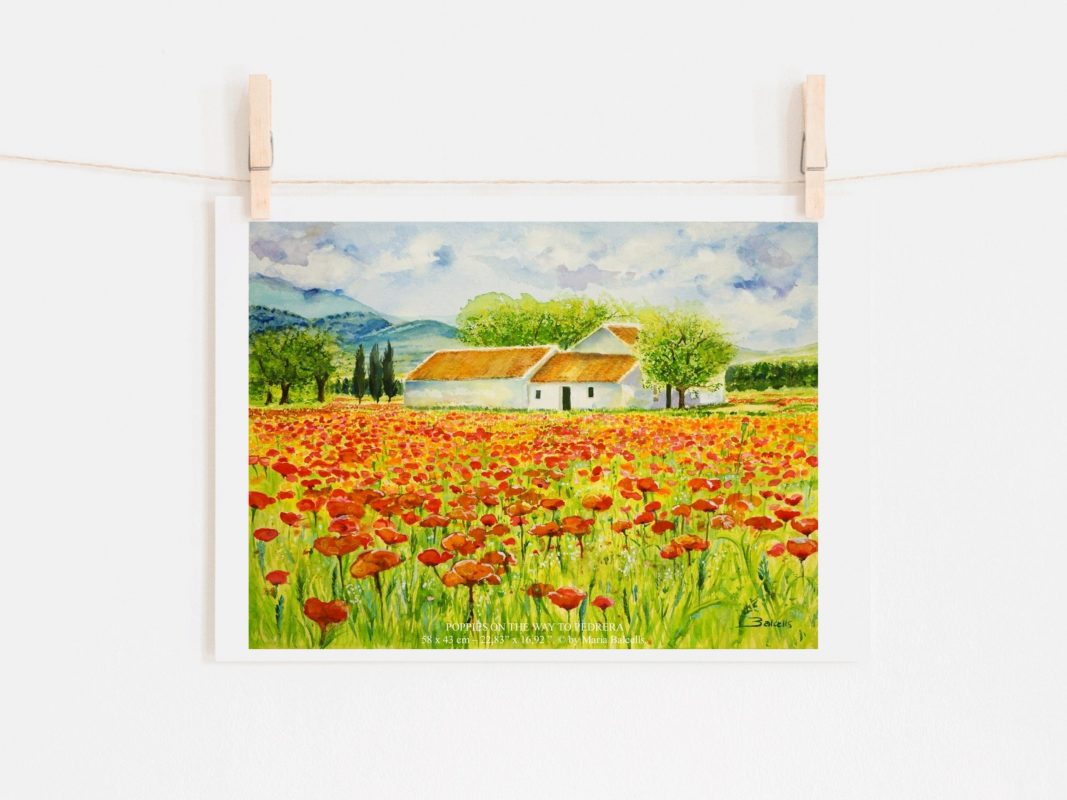 Watercolour poppies landscape painting by Maria Balcells