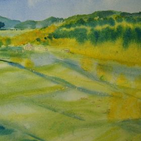 Green Mountains Meadows, Step 4.