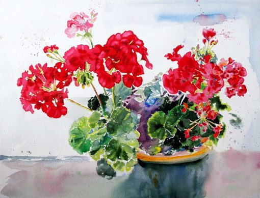 geranium painting, geranium flowers painting, geranium red flowers painting,