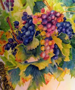 wine grapes watercolour painting for sale