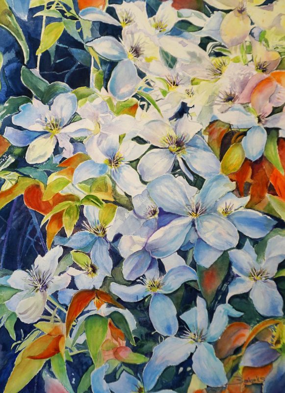 CLEMATIS- Watercolour flowers painting by Maria Balcells