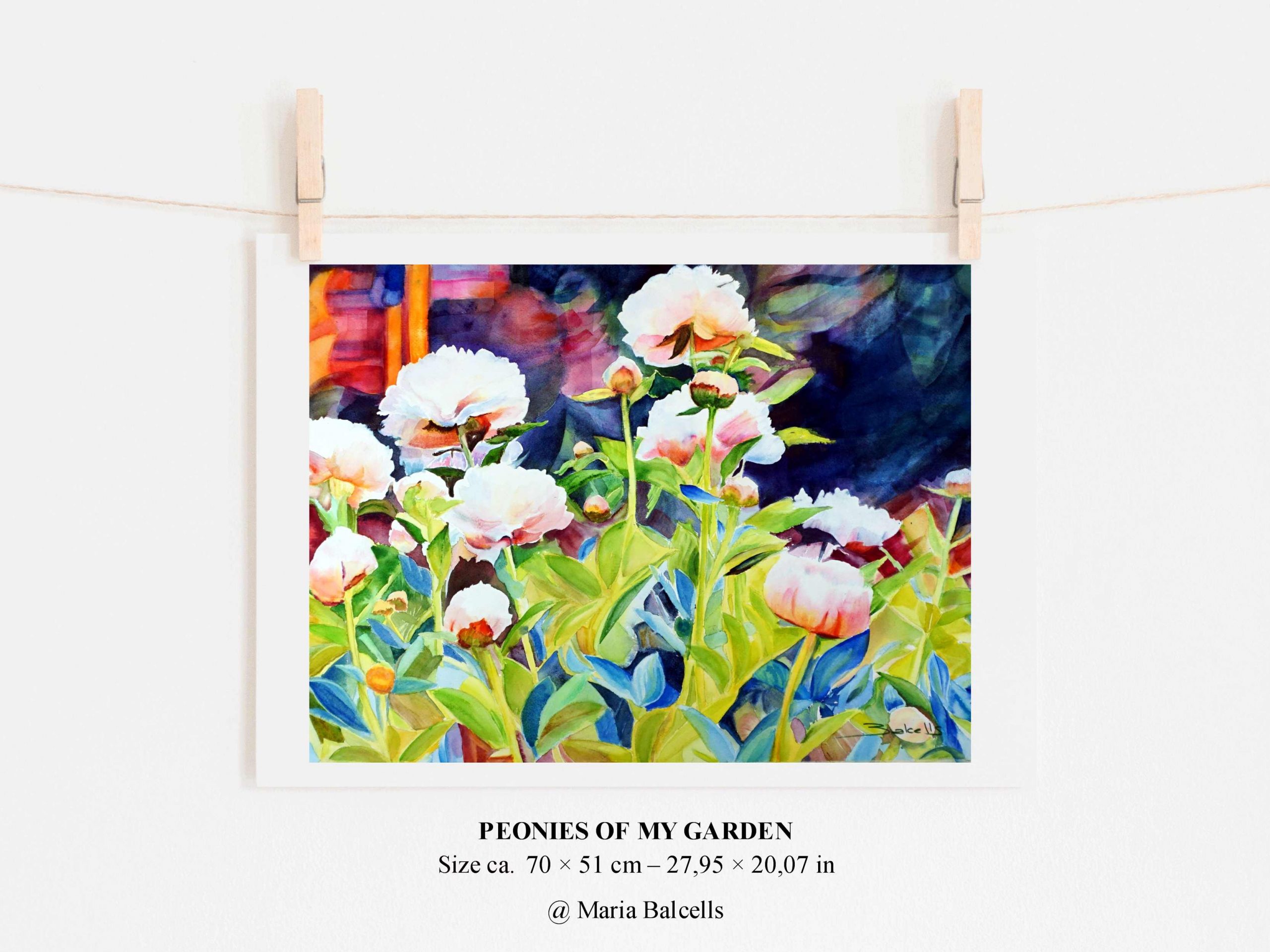 PEONIES OF MY GARDEN - poster