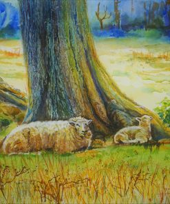 SHEEP RESTING UNDER THE TREES