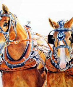Heavy Horses working together. Watercolour artwork by Maria Balcells