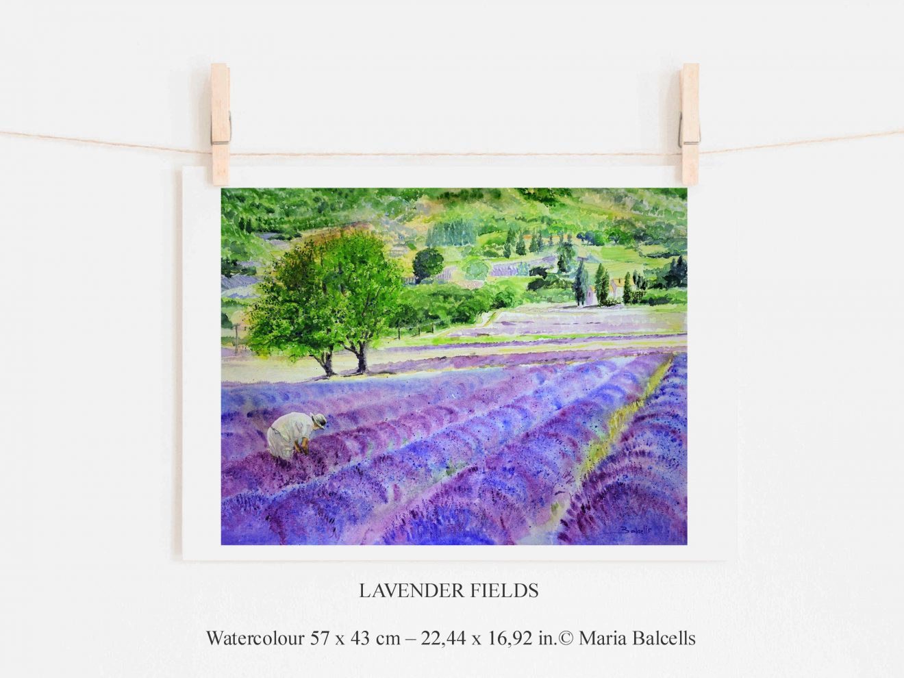 Lavender Fields, watercolour landscape by Maria Balcells