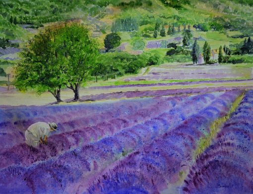 Watercolour Landscape Painting of Lavender Field in La Provence by Maria Balcells