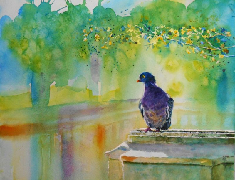 LA PALOMA. Watercolour pidgeon painting by Maria Balcells