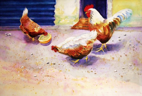 CHICKEN LUNCH TIME: Watercolour by Maria Balcells