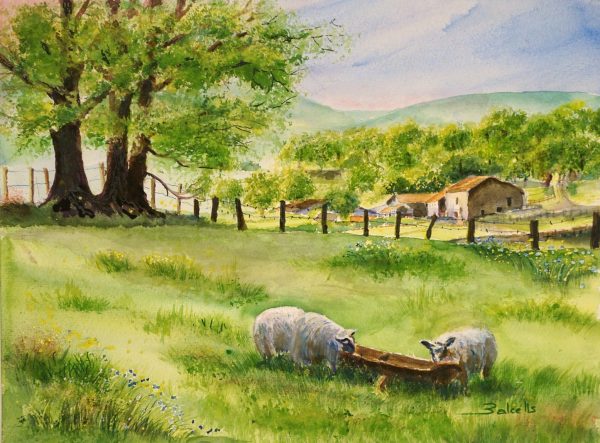 Sheep farm watercolour landscape painting.