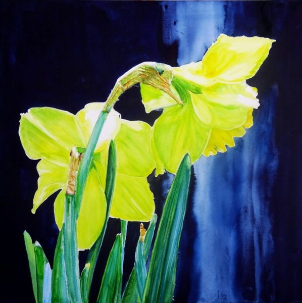 A pair of narcissus. Watercolour flowers by Maria Balcells.