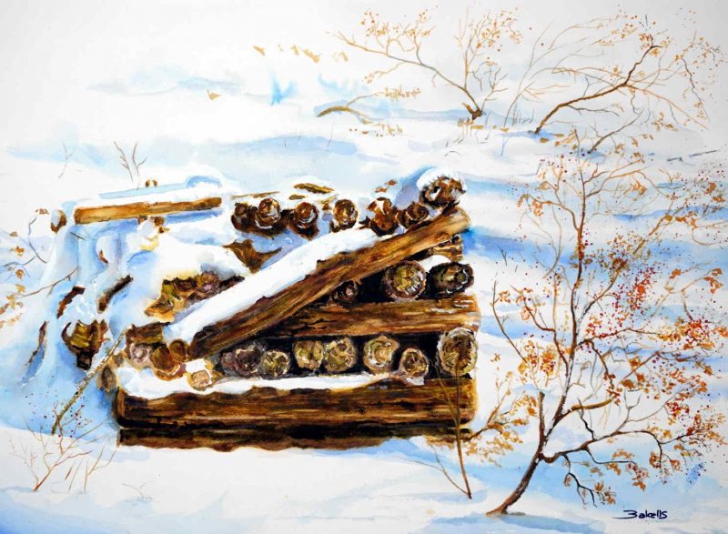 A PILE OF FIREWOOD