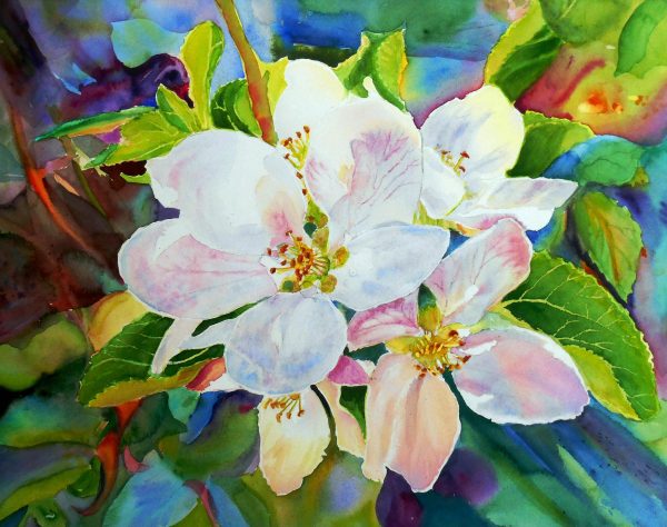 APPLE BLOSSOM. Watercolour flowers painting by Maria Balcells.
