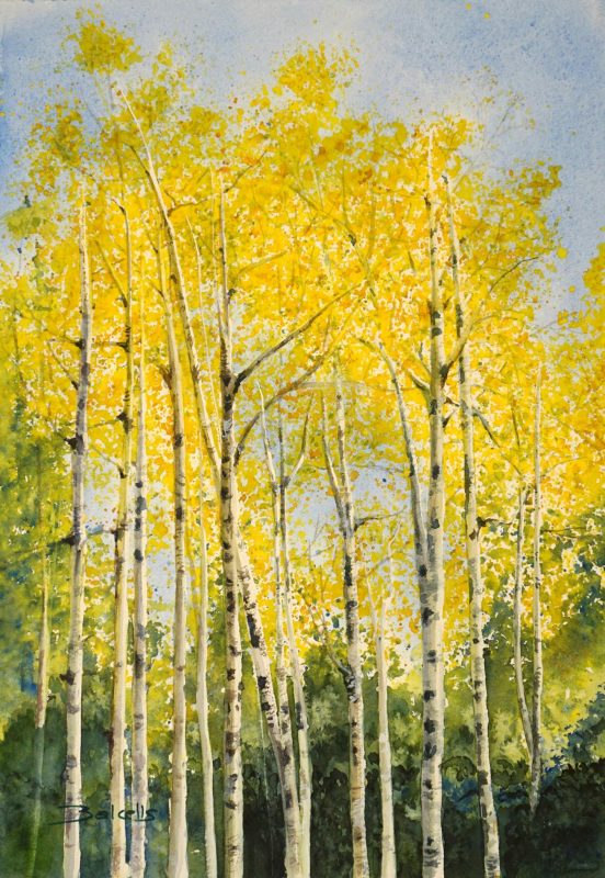 ASPEN APPROACHING THE AUTUMN. 35,4 x 50,9 cm – 13,93 x 20,03 in.