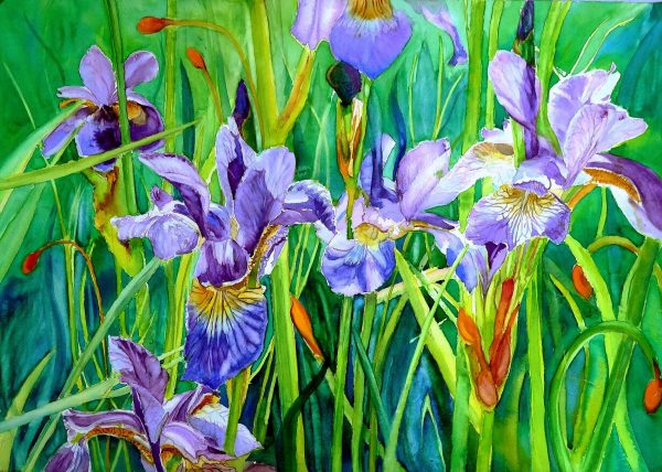 BLUE IRIS. Watercolour flowers painting by Maria Balcells.