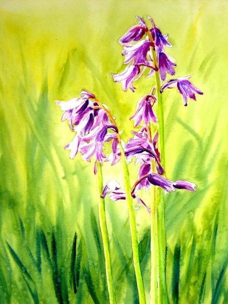 BLUEBELLS. Watercolour flowers painting by Maria Balcells