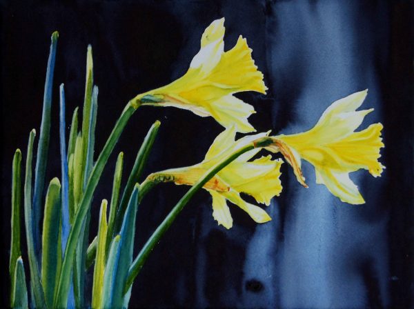 DAFFODILS TRIO. Watercolour flowers by Maria Balcells