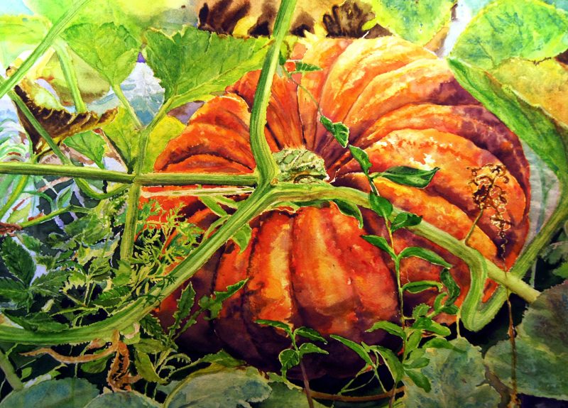 FREDAS BEAUTIFUL PUMPKING