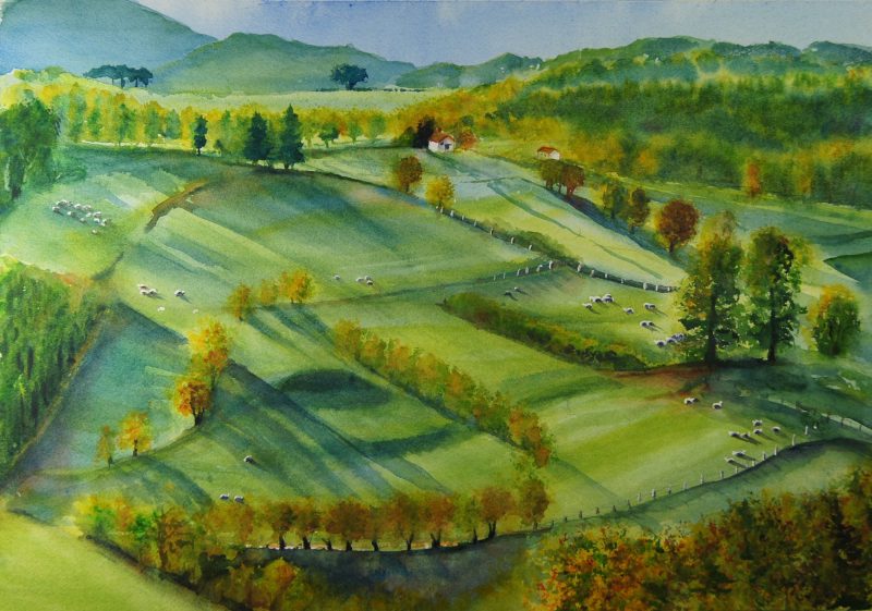 GREEN FIELDS 48 x 35,5 cm - 18,8 x 13,4 Portf 1