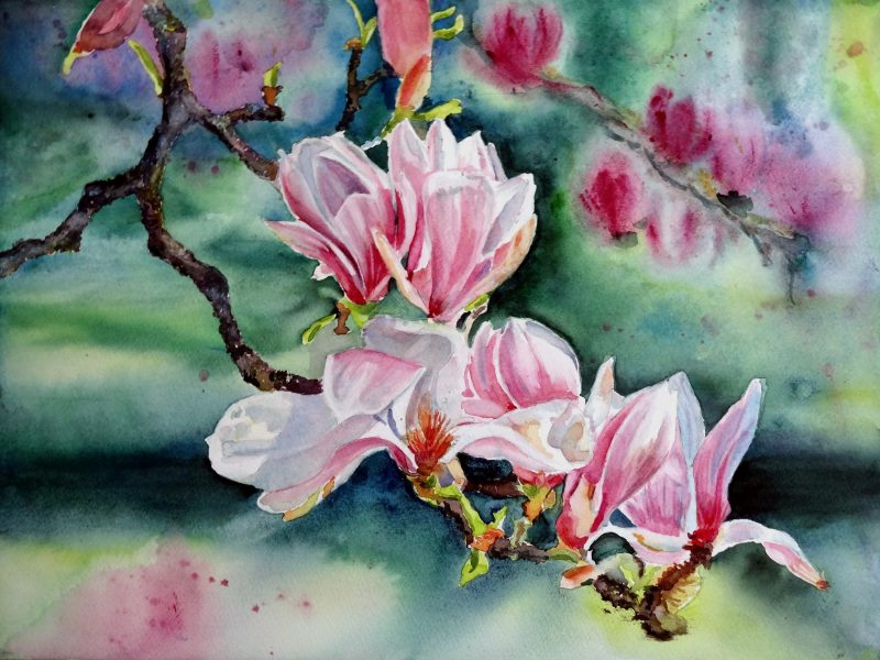 MAGNOLIAS 2 - Portf 1