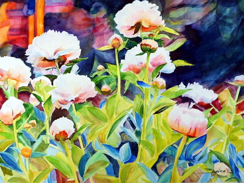 PEONIES IN MY GARDEN