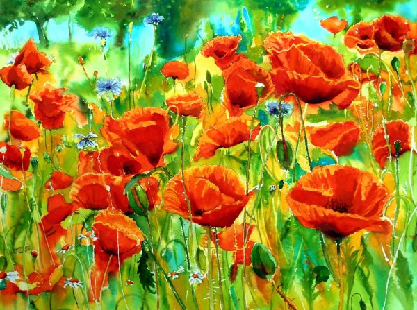 POPPIES 4, Watercolour flowers painting