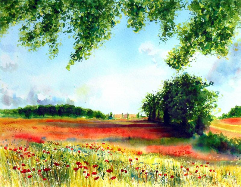 POPPIES FIELDS 3