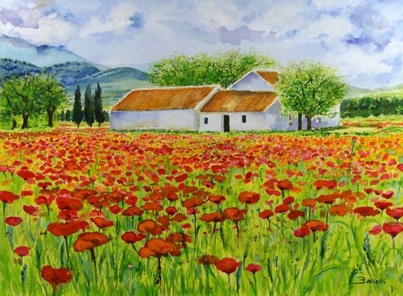 Poppies Fields 2. on the way to Pedrera. Watercolour landscaape