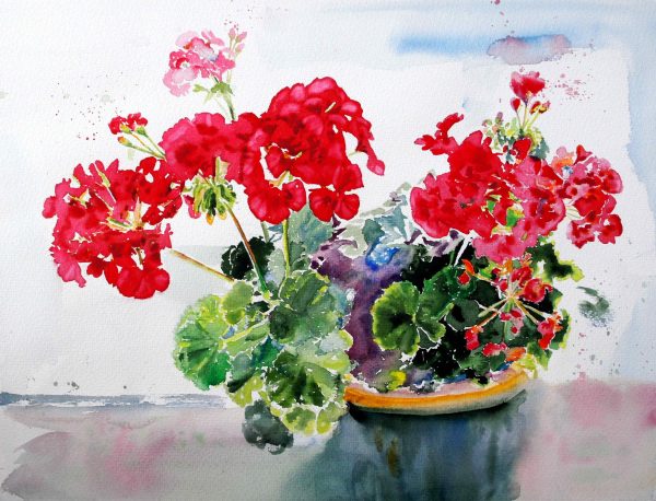 RED GERANIUM - Portf 2. Watercolor flowers by Maria Balcells