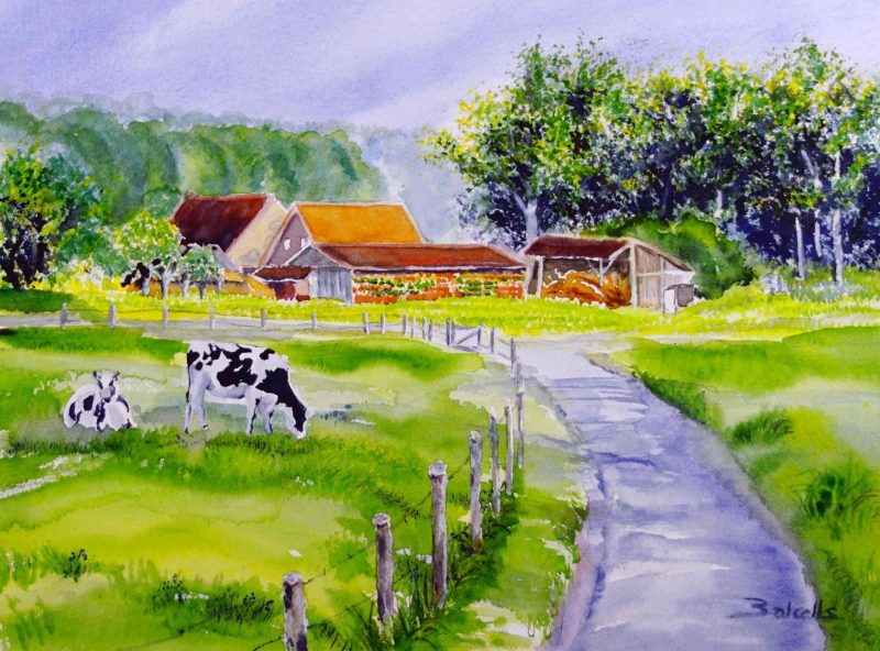 SUMMER FARM