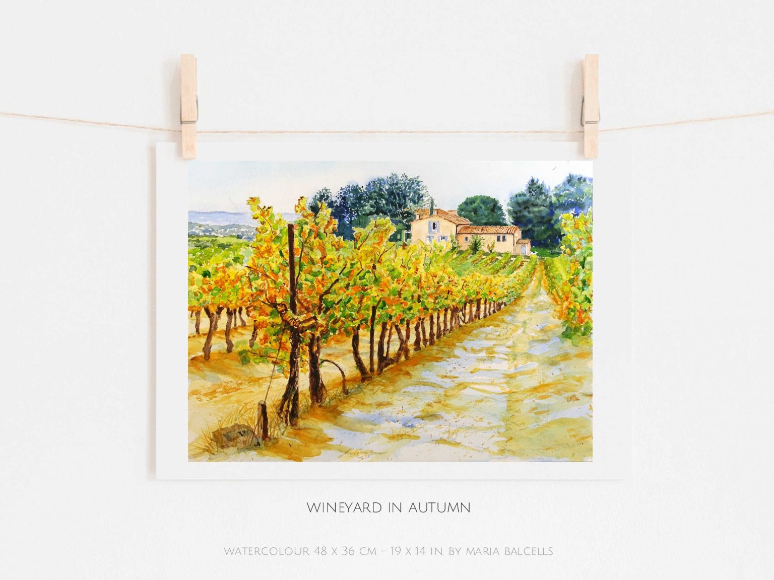 Watercolour WINEYARD landscape painting